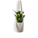 Cradle Plant Hanger